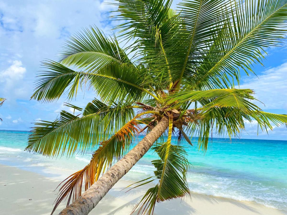 Tme Retreats Dhigurah 3*